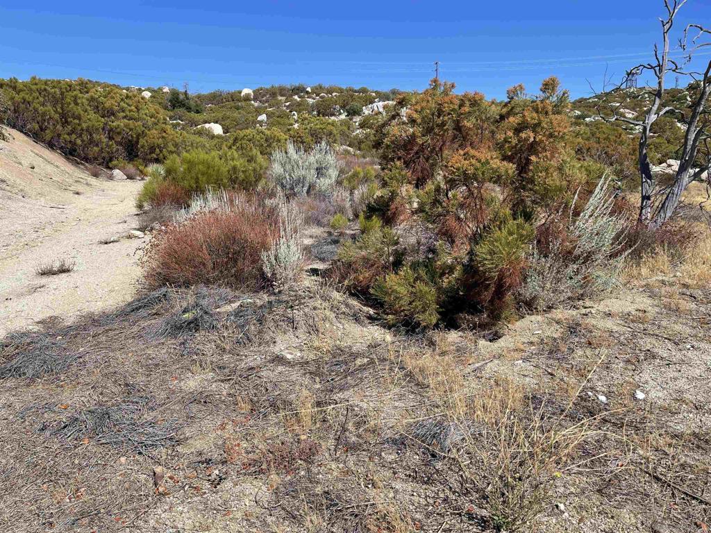 0 Chihuahua Valley Road Property Photo 6