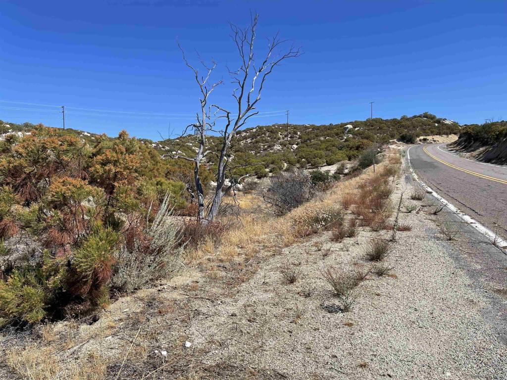 0 Chihuahua Valley Road Property Photo 7