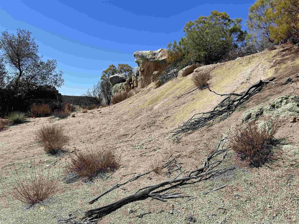 0 Chihuahua Valley Road Property Photo 13