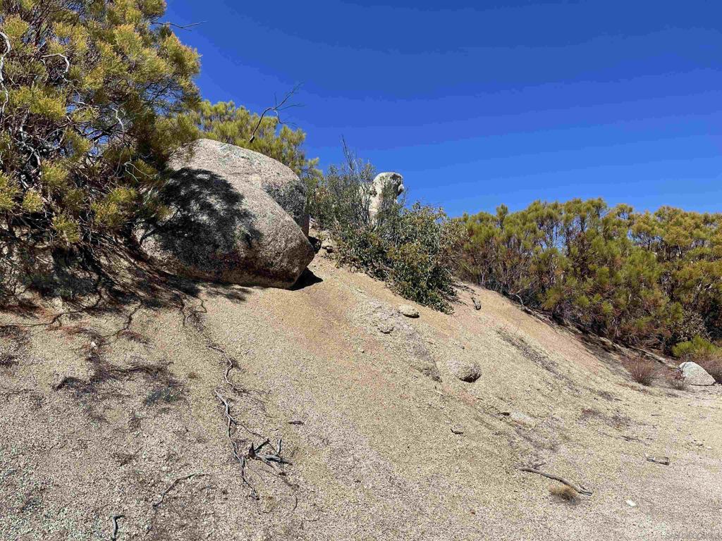 0 Chihuahua Valley Road Property Photo 14