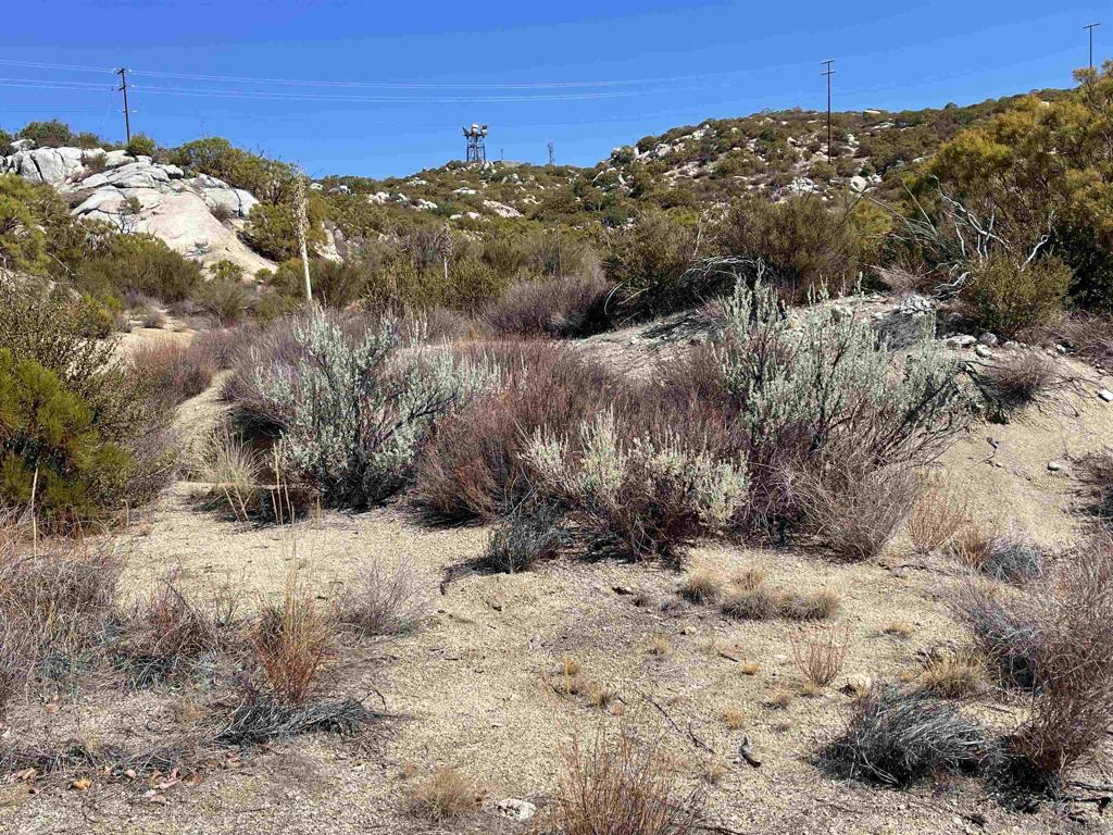 0 Chihuahua Valley Road Property Photo 16