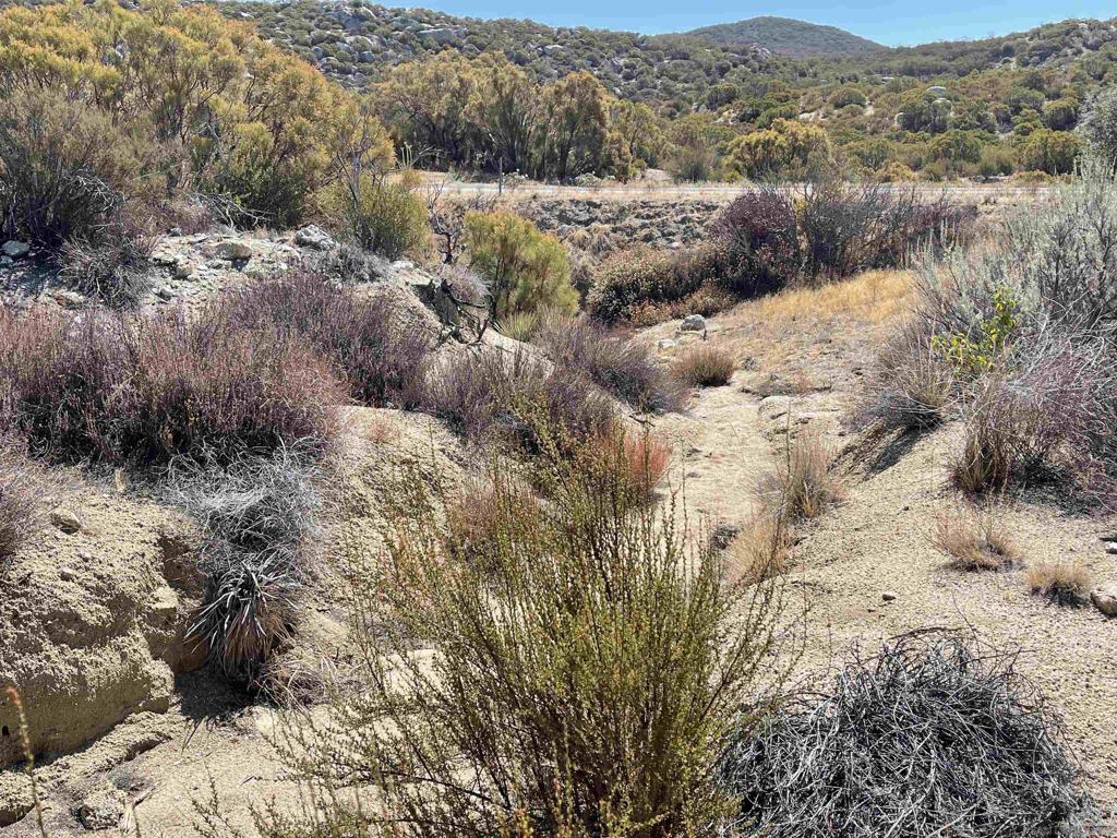 0 Chihuahua Valley Road Property Photo 19