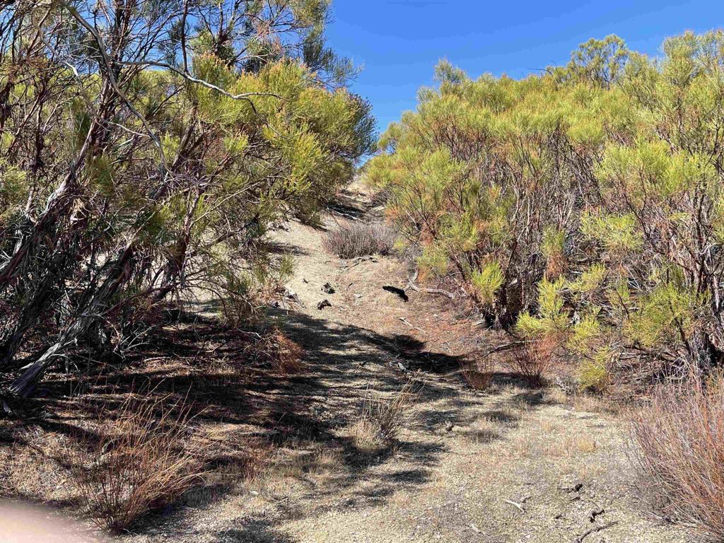 0 Chihuahua Valley Road Property Photo 20