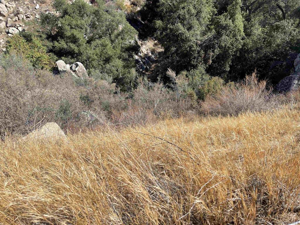 0 Chihuahua Valley Road Property Photo 21