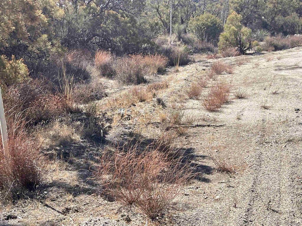 0 Chihuahua Valley Road Property Photo 24