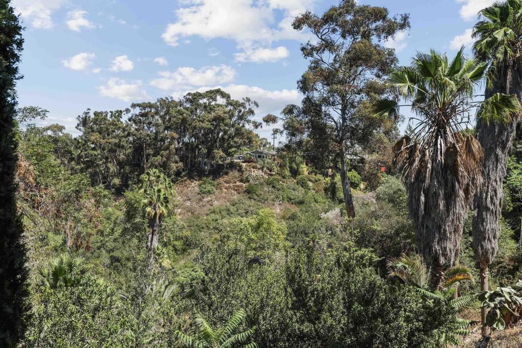 4109 4111 Ibis Street Property Photo 56