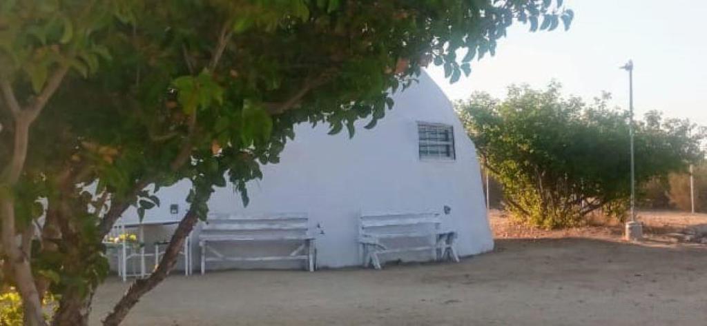 Alamo Paseo De Los Encinos Property Photo 9