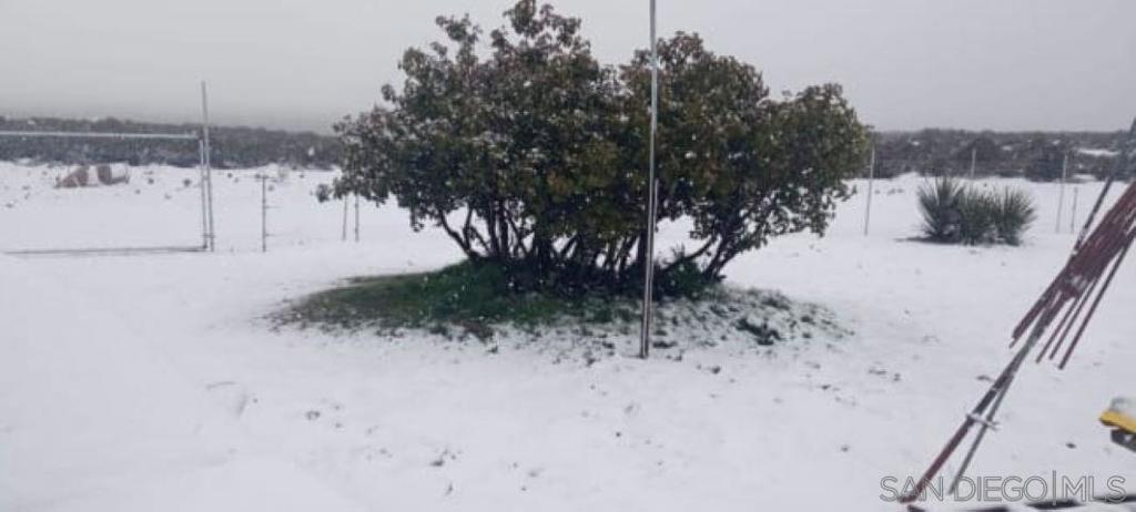 Alamo Paseo De Los Encinos Property Photo 16