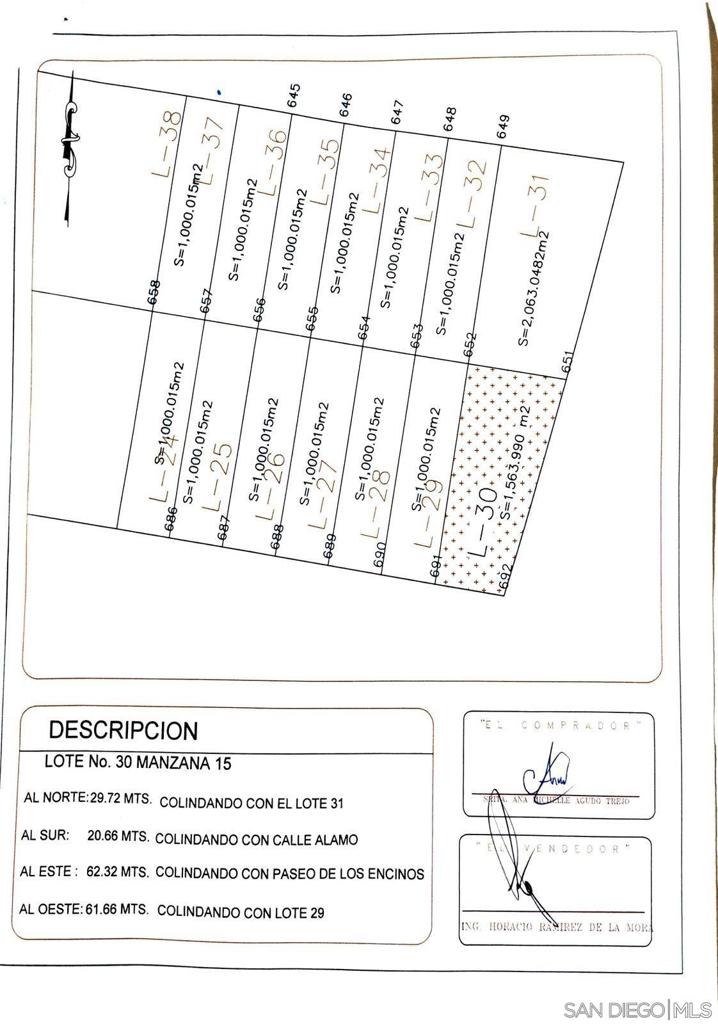 Alamo Paseo De Los Encinos Property Photo 19