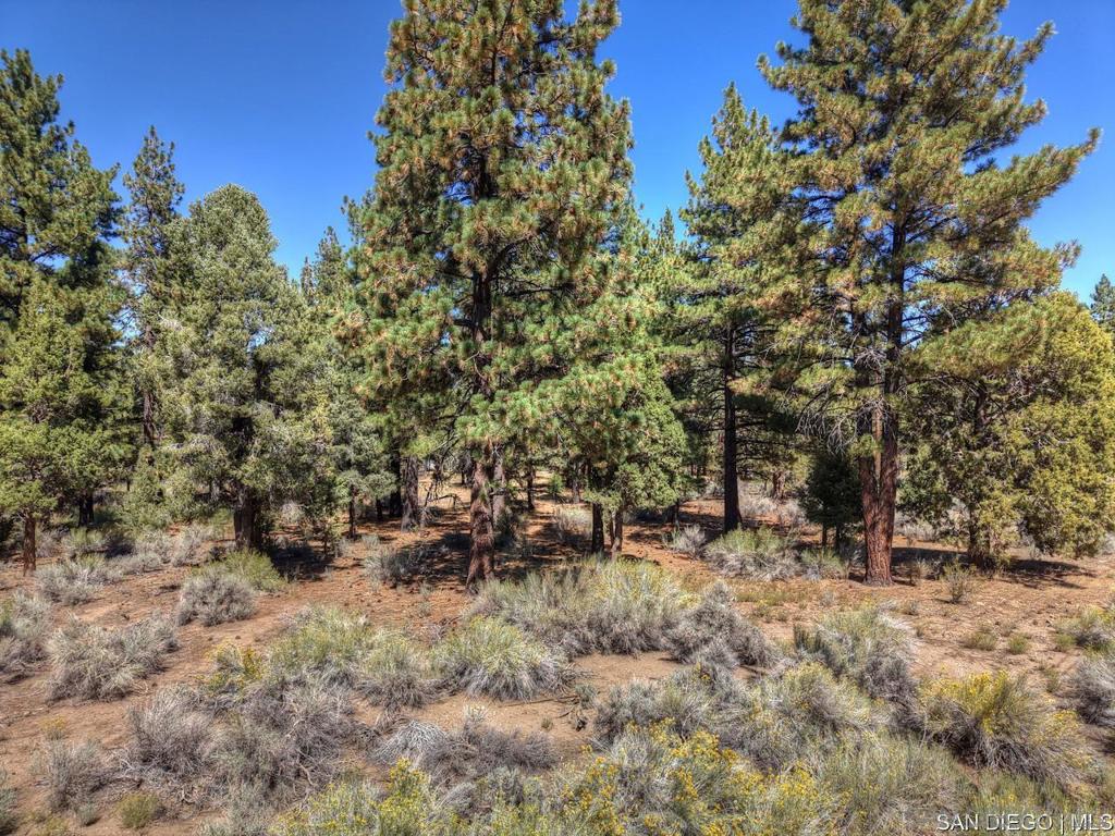 2161 Glencove Ln Property Photo 7