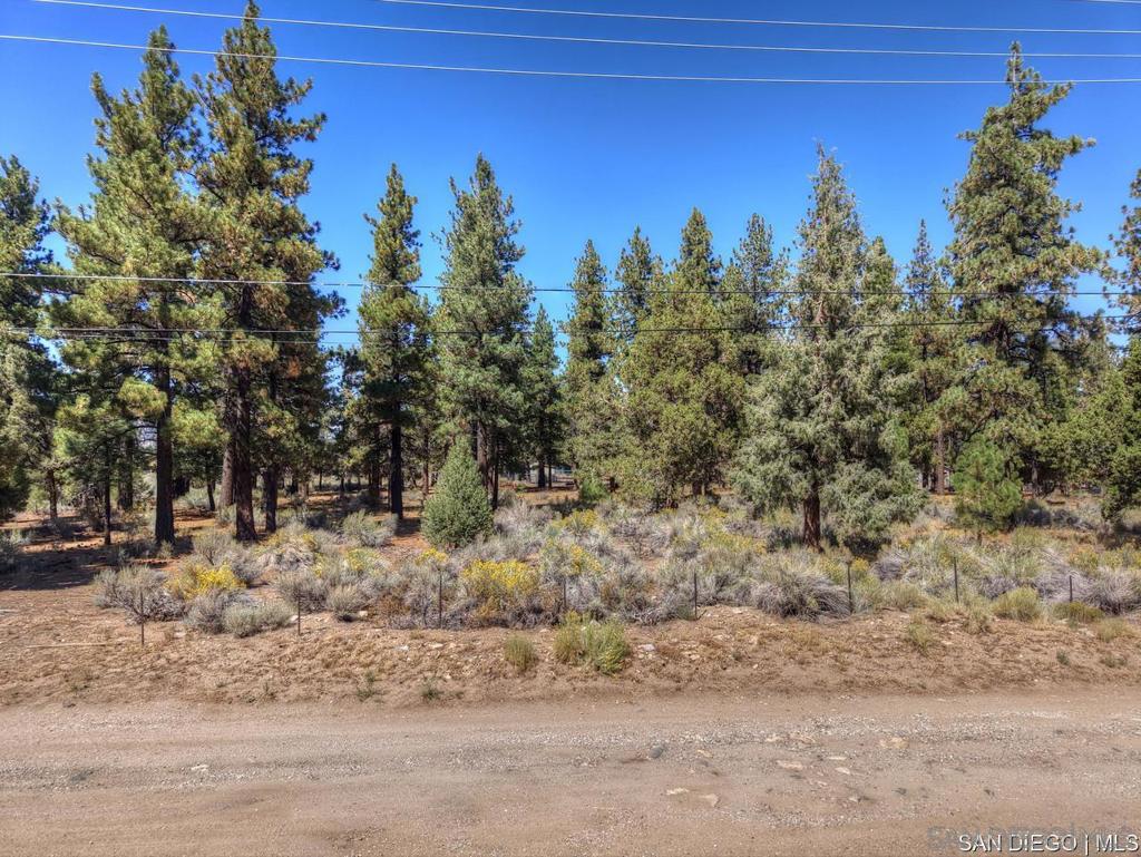 2161 Glencove Ln Property Photo 8