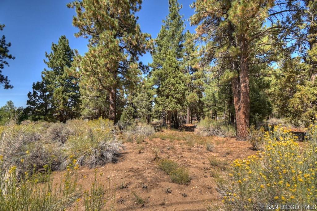 2161 Glencove Ln Property Photo 10