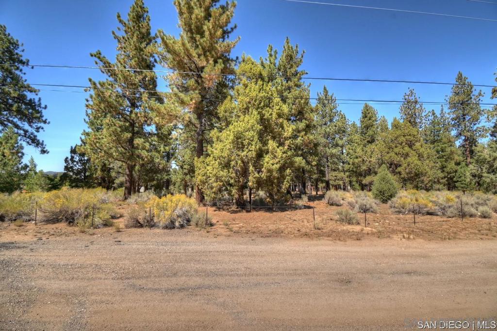 2161 Glencove Ln Property Photo 11