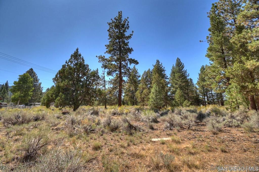 2161 Glencove Ln Property Photo 13