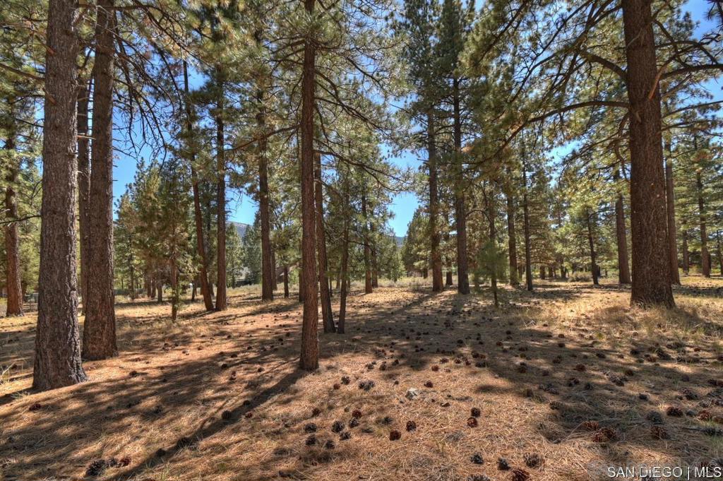 2161 Glencove Ln Property Photo 14