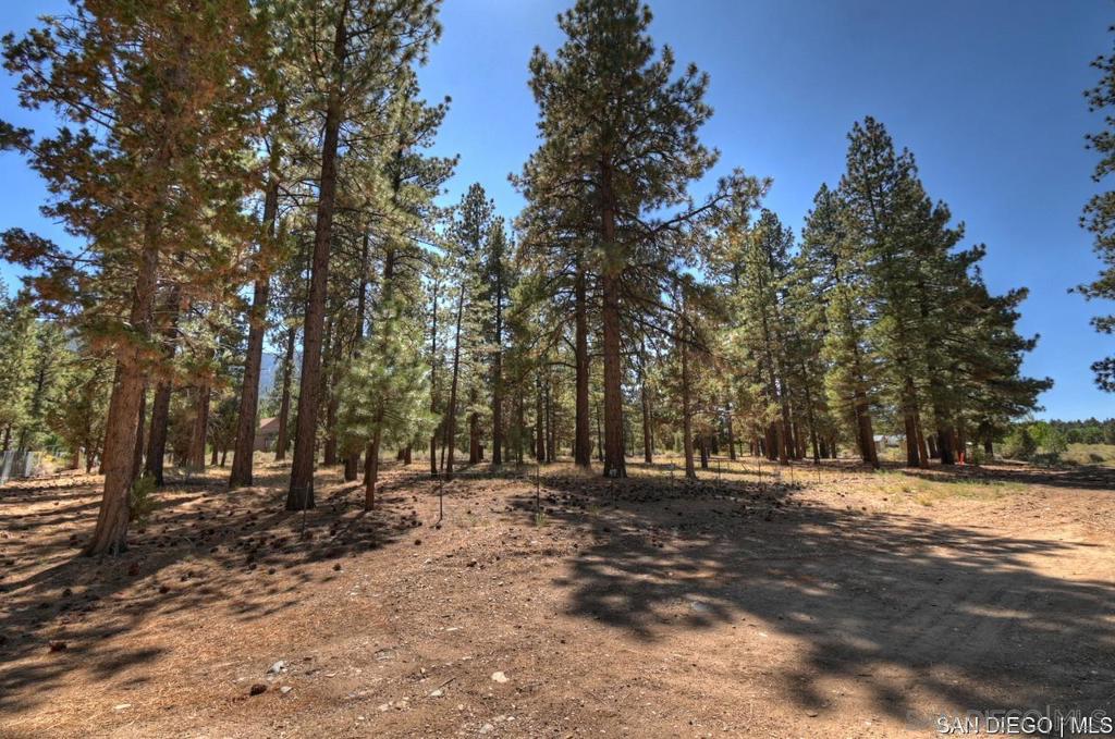 2161 Glencove Ln Property Photo 15