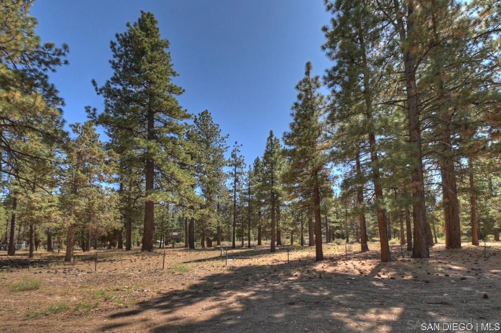 2161 Glencove Ln Property Photo 16