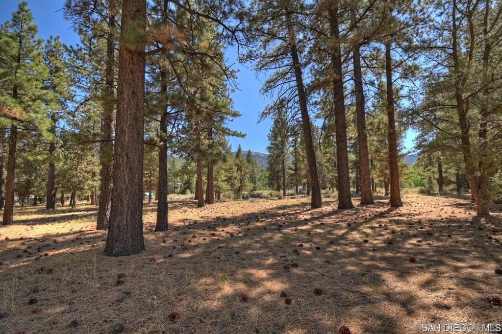 2161 Glencove Ln Property Photo 17