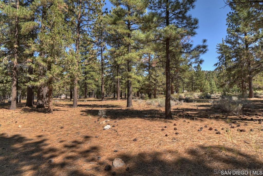 2161 Glencove Ln Property Photo 18