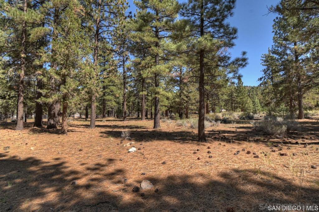 2161 Glencove Ln Property Photo 19