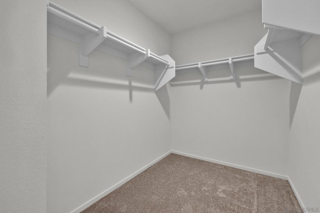 28216 Molasses Court Property Photo 15