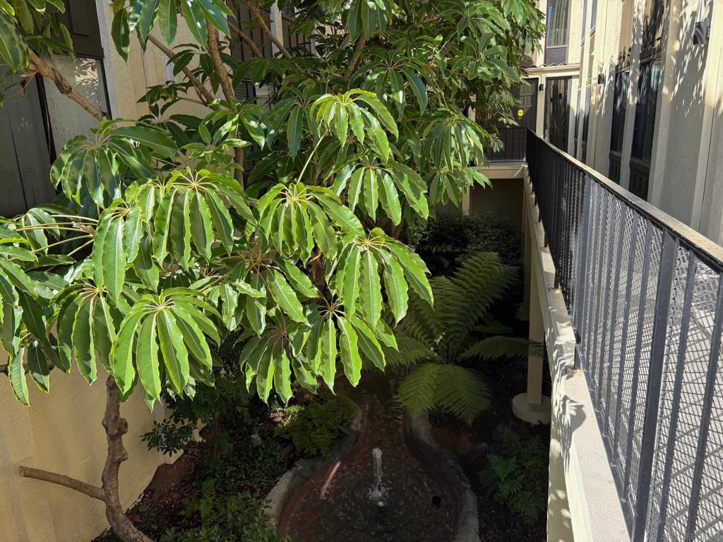 3796 Alabama St A118 Property Photo 41