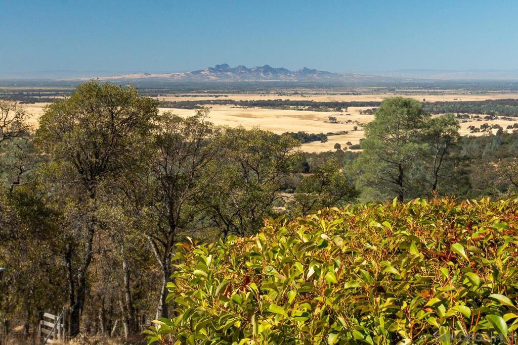 135 Sunny Hills Rd Property Photo 5