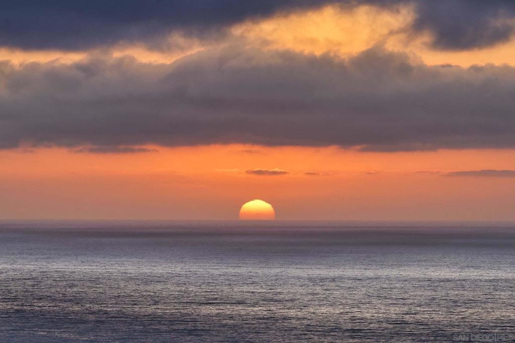 8316 Prestwick Dr Property Photo 38