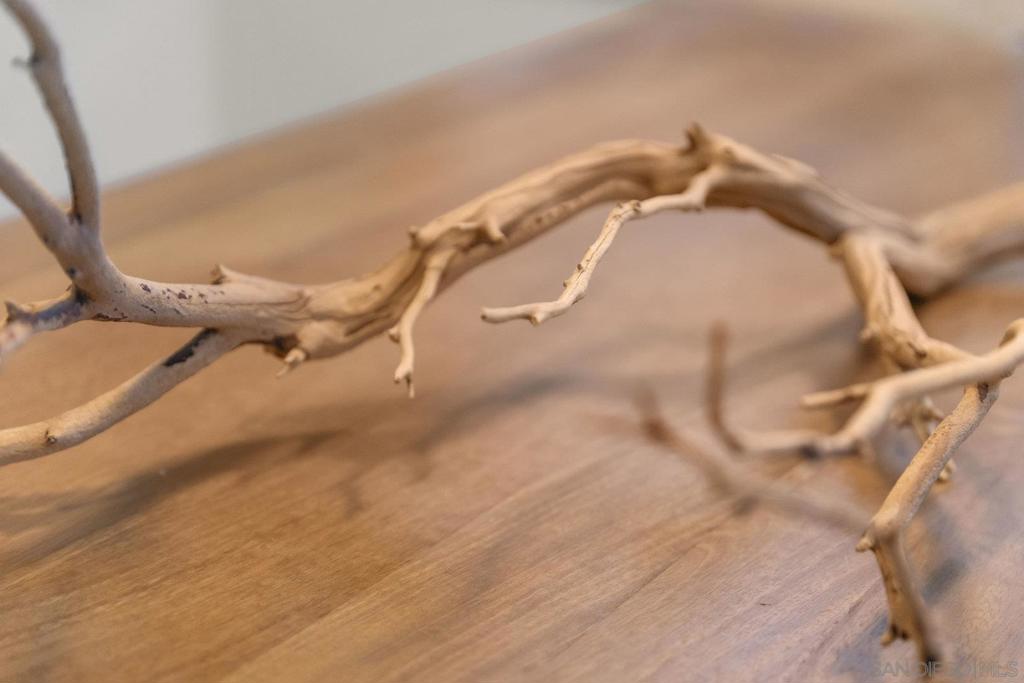 3960 Plateau Pl Property Photo 11