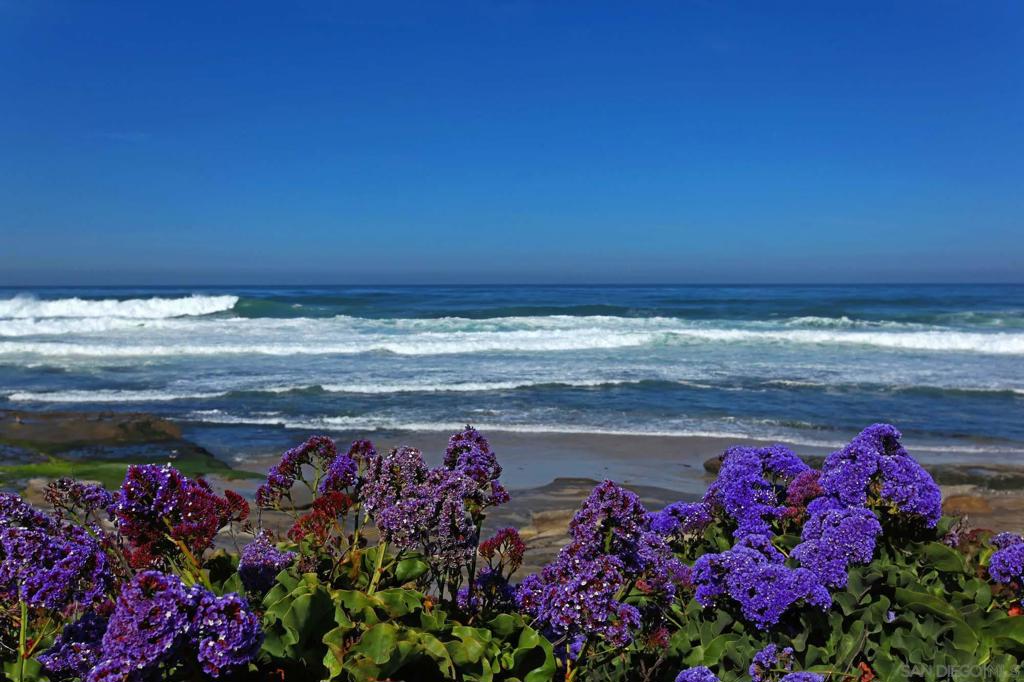 302 Prospect St 6 Property Photo 23