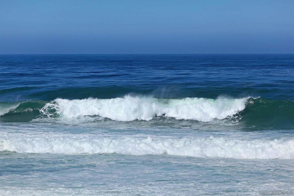 302 Prospect St 6 Property Photo 26