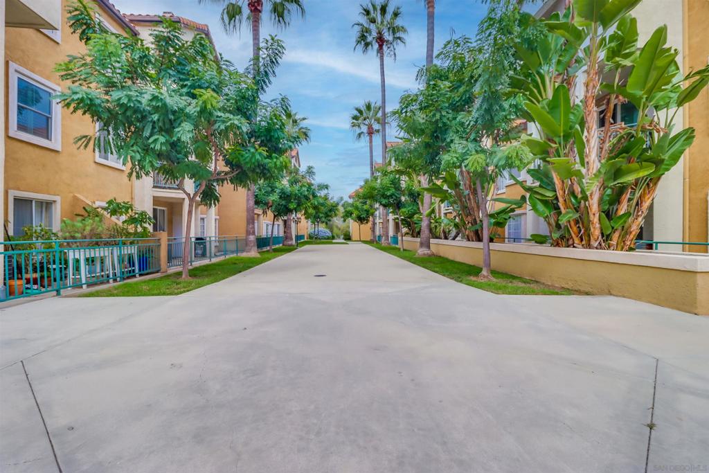 2050 Camino De La Reina 3305 Property Photo 37