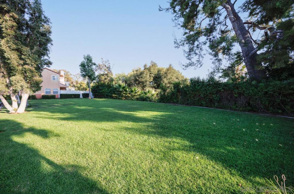 9205 Camino Del Verde Property Photo 19