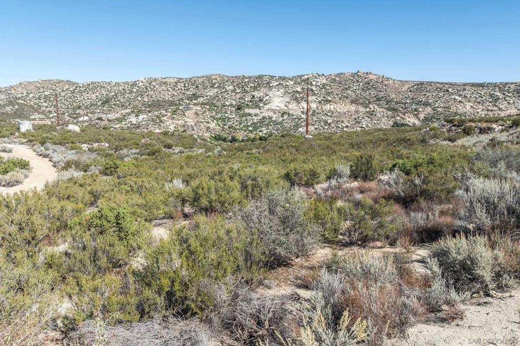 35974 Great Blue Heron Way Property Photo 23