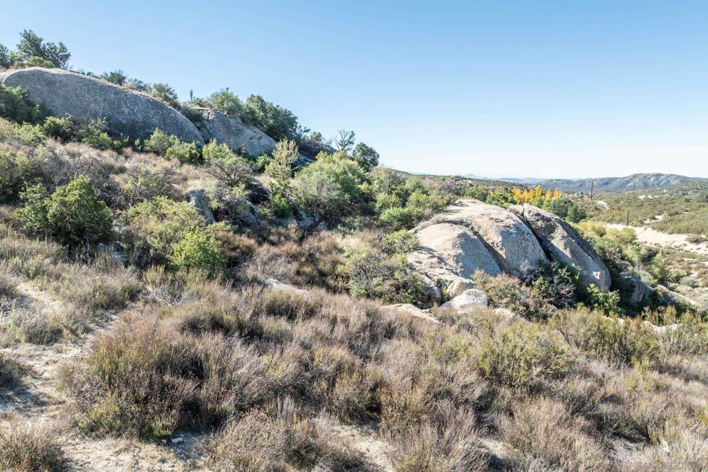 35546 Stagecoach Springs Rd Property Photo 21