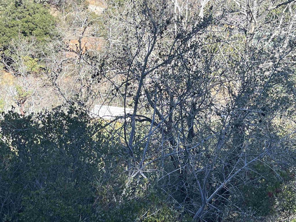0 Banner View Dr Property Photo 3