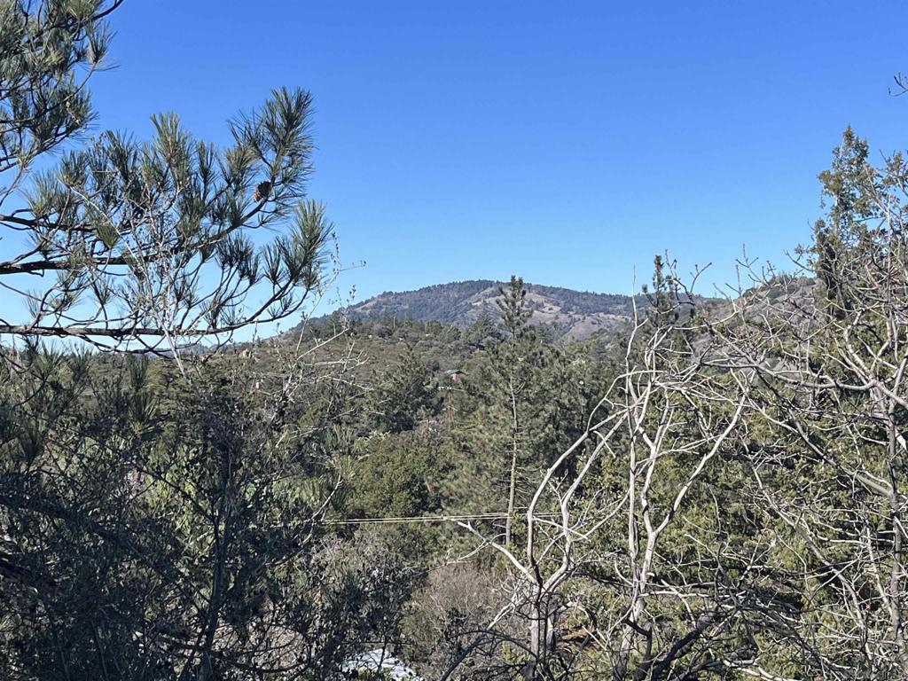 0 Banner View Dr Property Photo 5