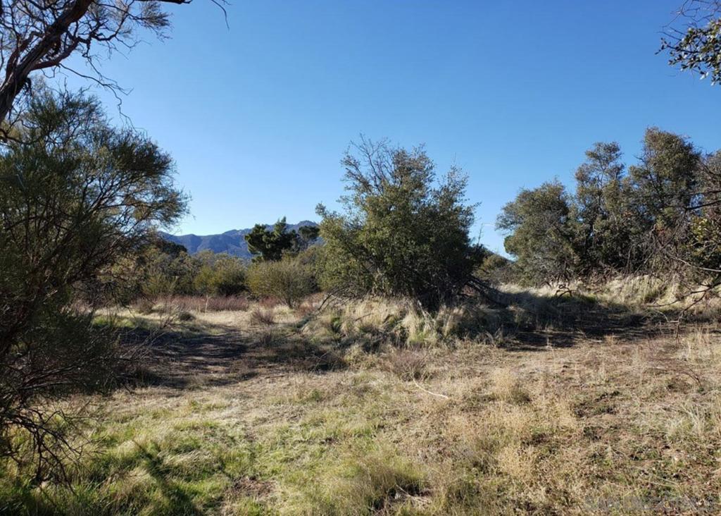 0 Property Photo 7