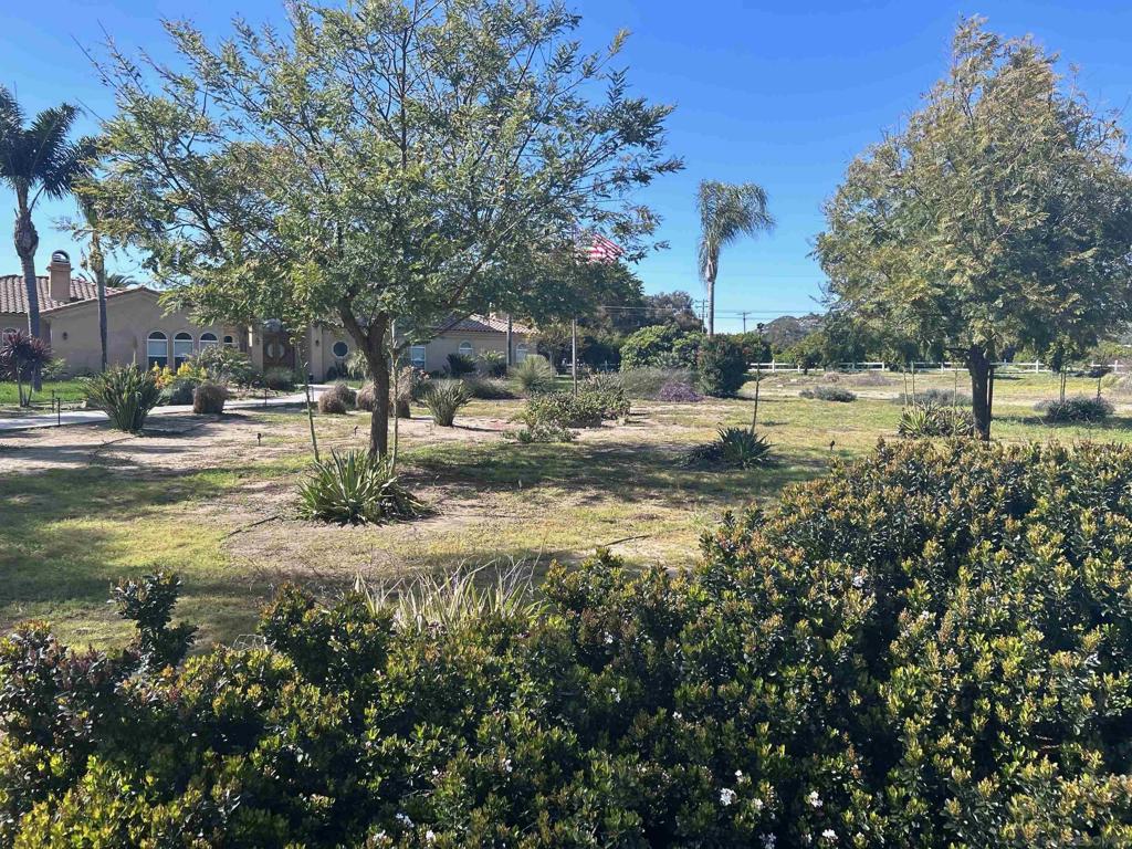 28429 Almona Way Property Photo 4