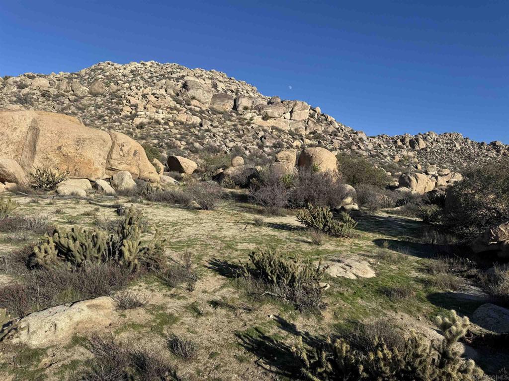 250045115SD Property Photo 2