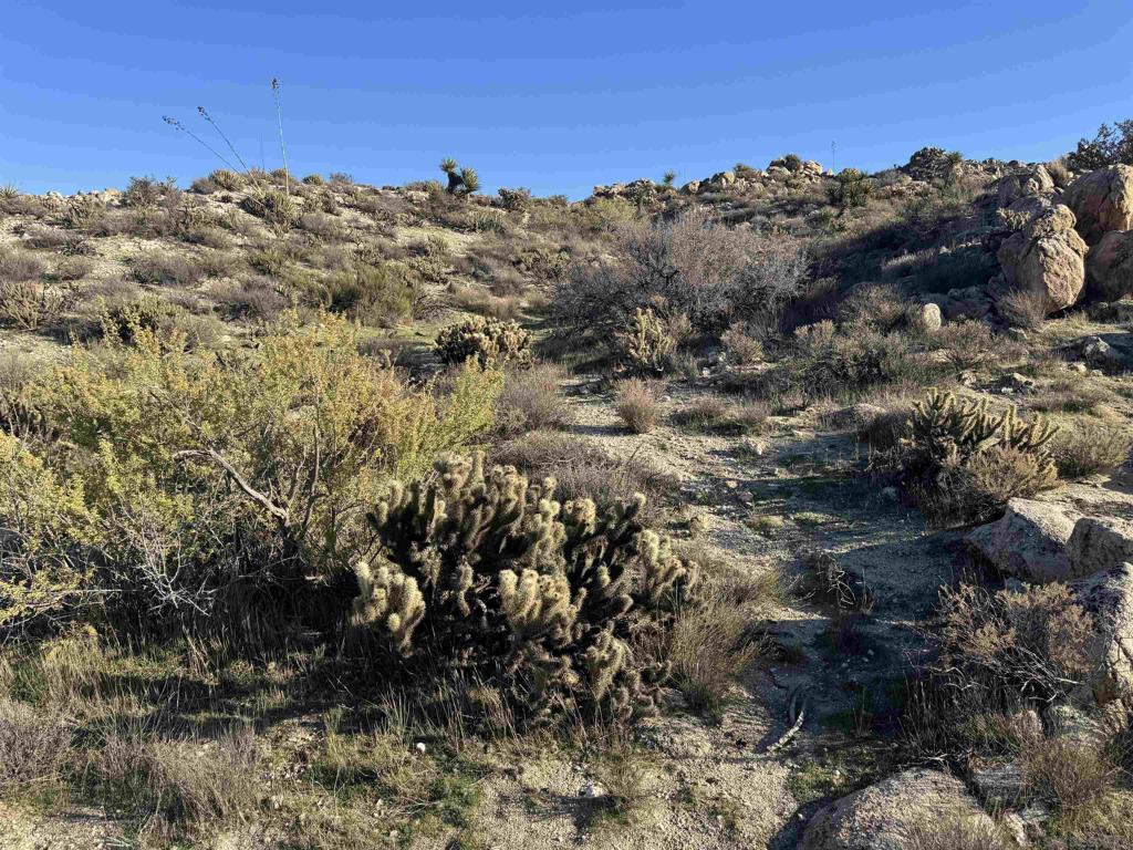 250045115SD Property Photo 4
