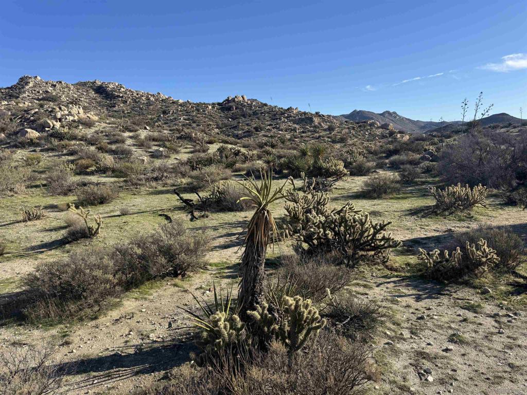 250045115SD Property Photo 8