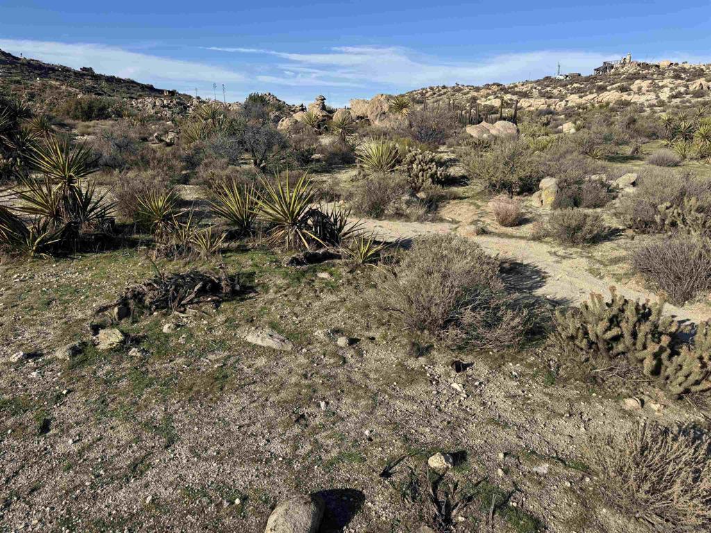 250045115SD Property Photo 9