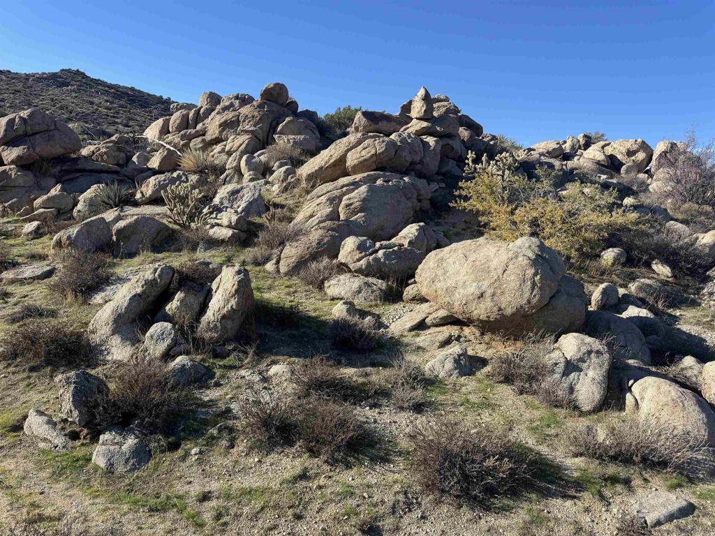 250045115SD Property Photo 10