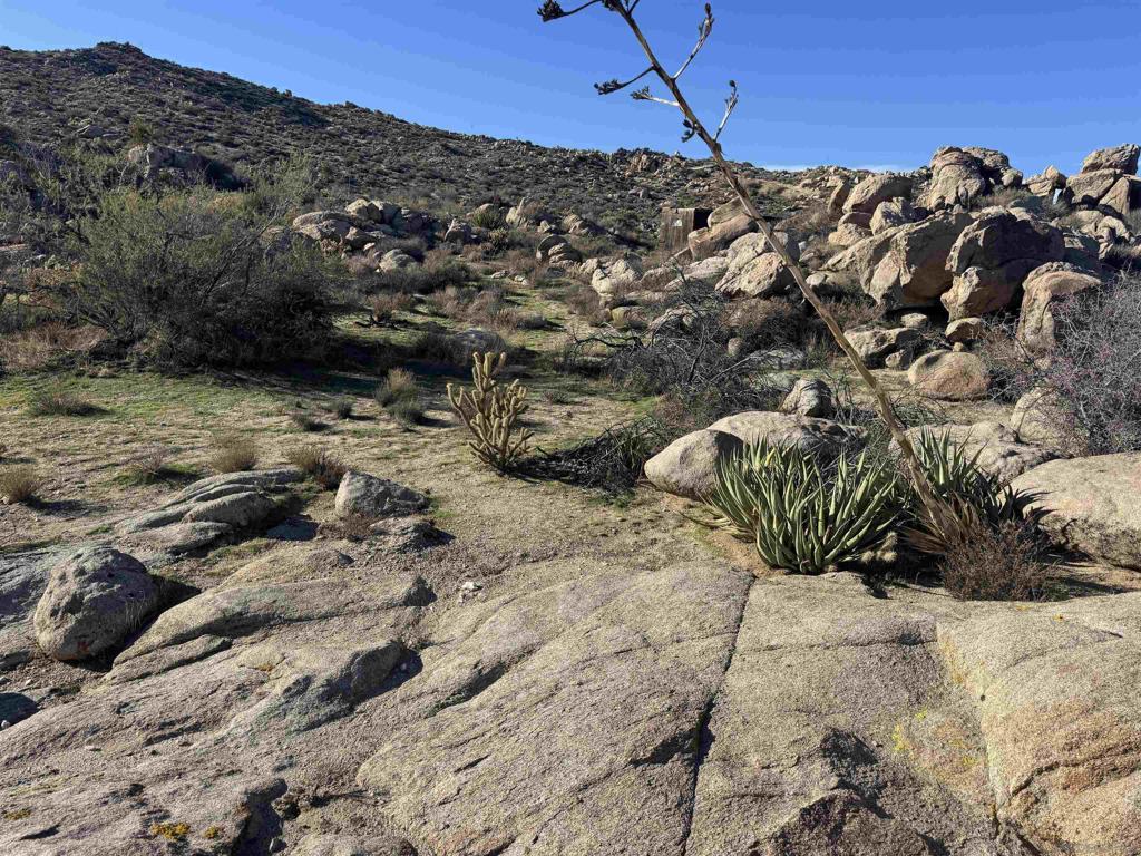 250045115SD Property Photo 12