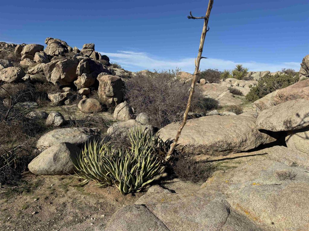 250045115SD Property Photo 13