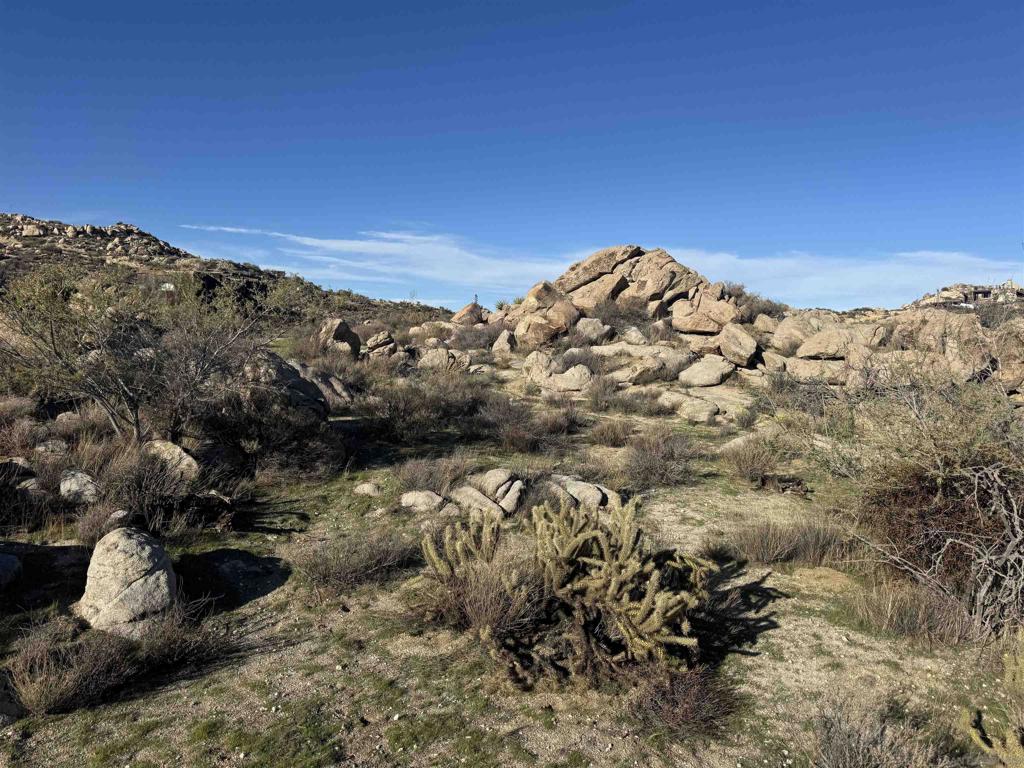 250045115SD Property Photo 14