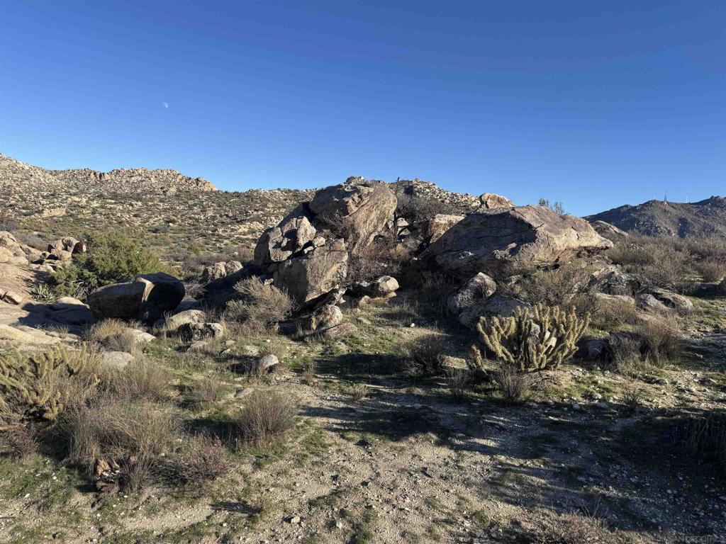 250045115SD Property Photo 16