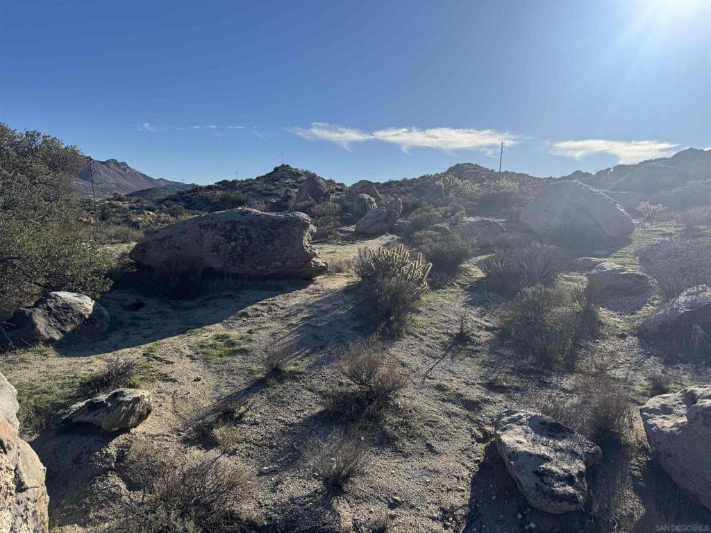250045115SD Property Photo 18