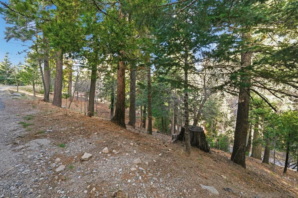 0 State Highway Property Photo 16
